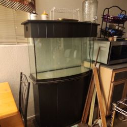 Fish Show Tank