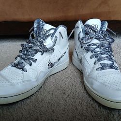 Collector's NIKE Shoes 