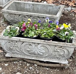 2 Planter Grecian Concret 