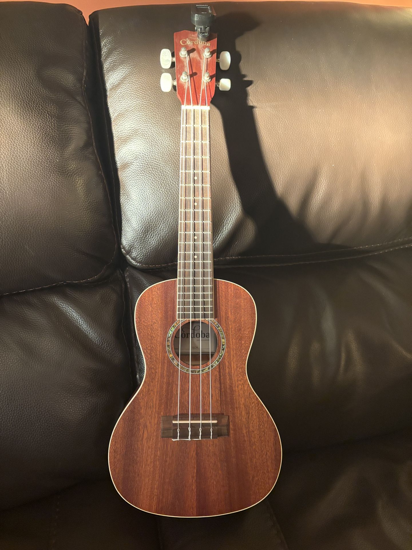 Ukulele