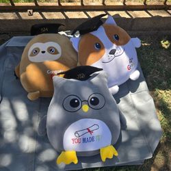 Graduation Plushie Bundle