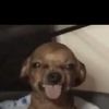 nay