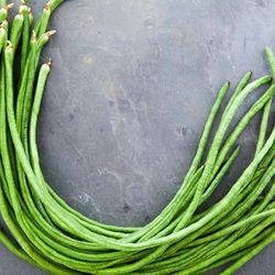 Yardlong bean Seeds