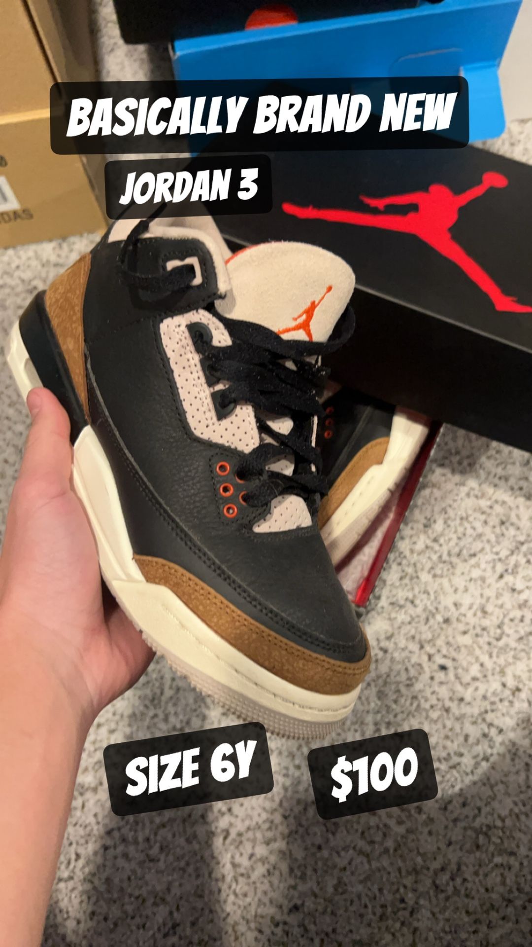 size 6 jordan 3