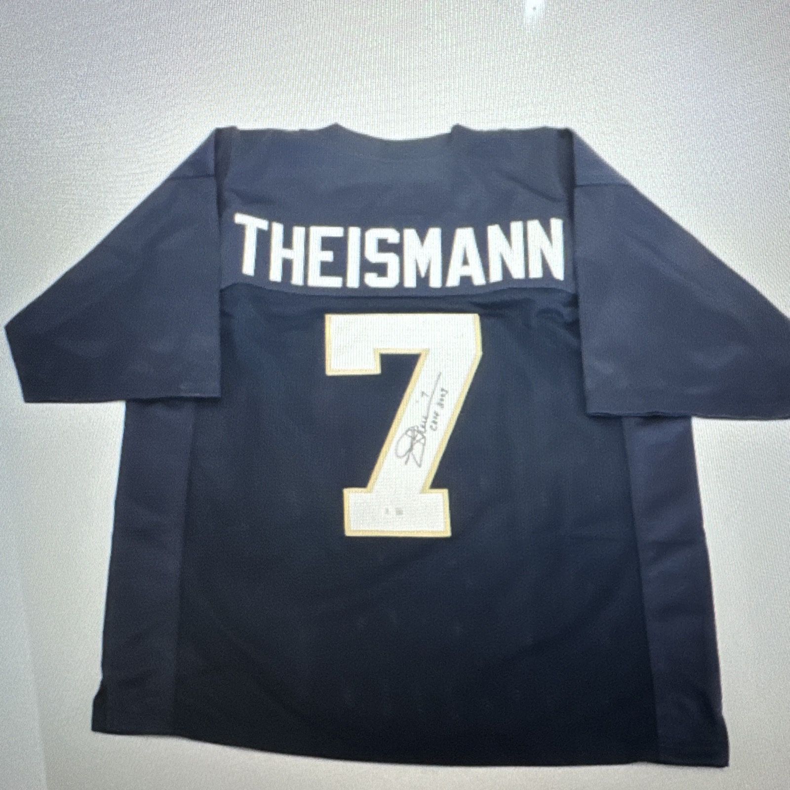 Notre Dame Fighting Irish Joe Theismann Autographed College Style Jersey BAS
