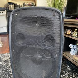 Ion Party Speaker 