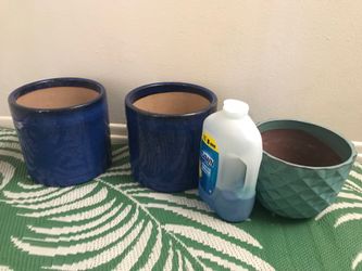 Plant 🌱 pots