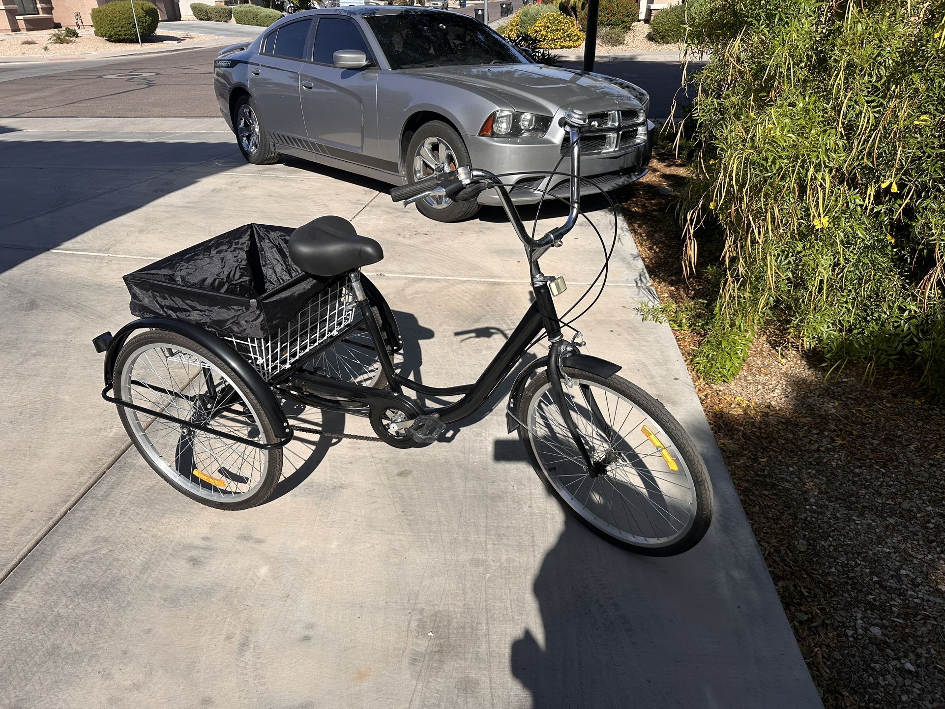 Adult Tricycle
