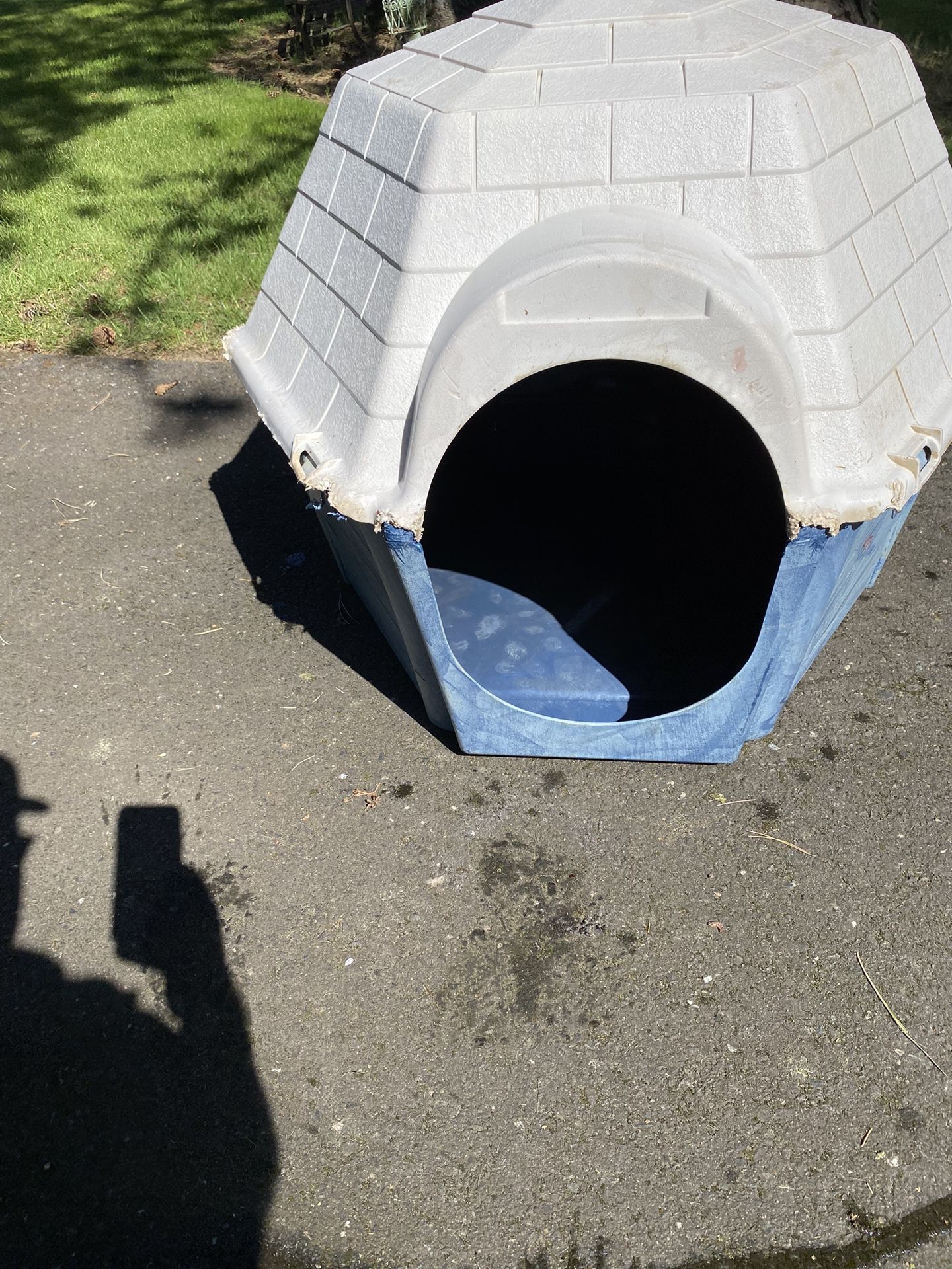 Plastic Igloo Dog House