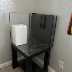 40 Gallon Fishtank With Built In Filter