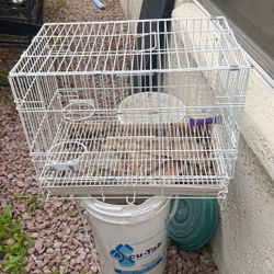 Bird Cage