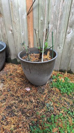 Large Pot Assortment