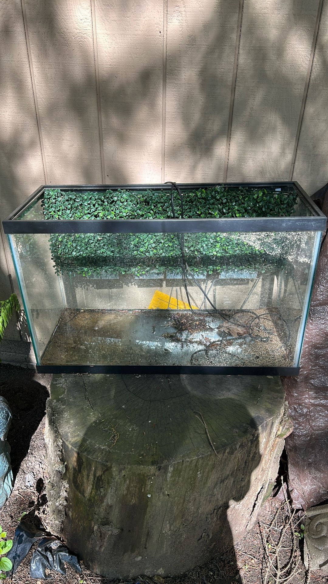 Medium Size Fish Tank