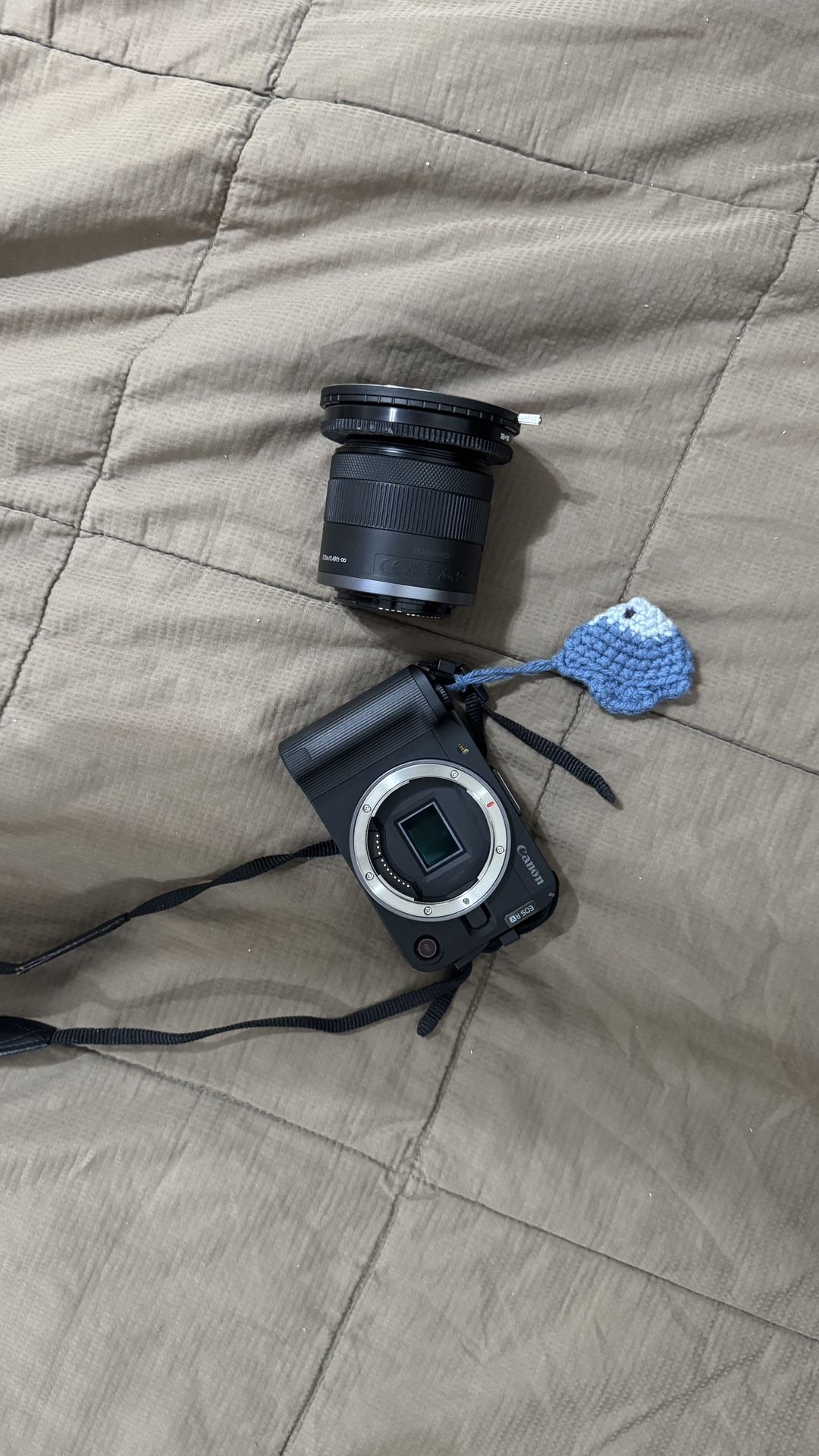 Canon R50v