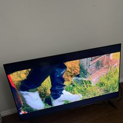 NEED GONE! 50 Inch Flat TV