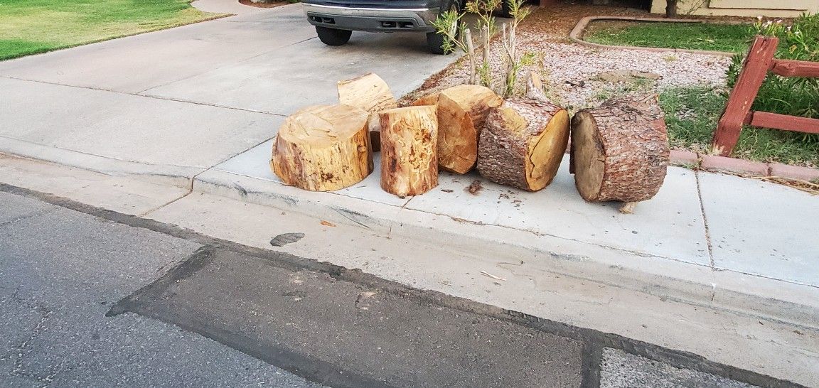 Free Pine Wood