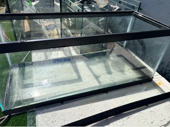 20 gallon long tank