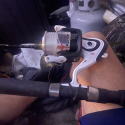 Fishing Poles And Berkeley Reals