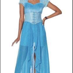 Spirit Halloween Disney Princesses Adult Cinderella Dress Costume | Officially Licensed | Cinderella Outfite 🆕✅Size: Adult M (8-10)|• Retails $54.99