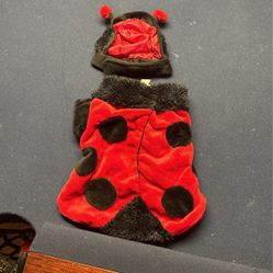 Dogs Ladybug Costume 
