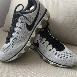 Mens Shoes/ Size 12/ Nike