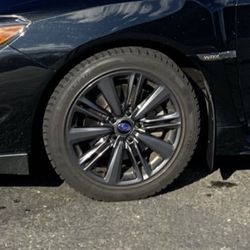 General ALTIMAX ARTIC + WRX OEM