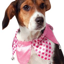 BRAND NEW Prada dog collar!!! for Sale in Middleburg, FL - OfferUp