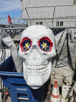 Estrella Jalisco Skull Head