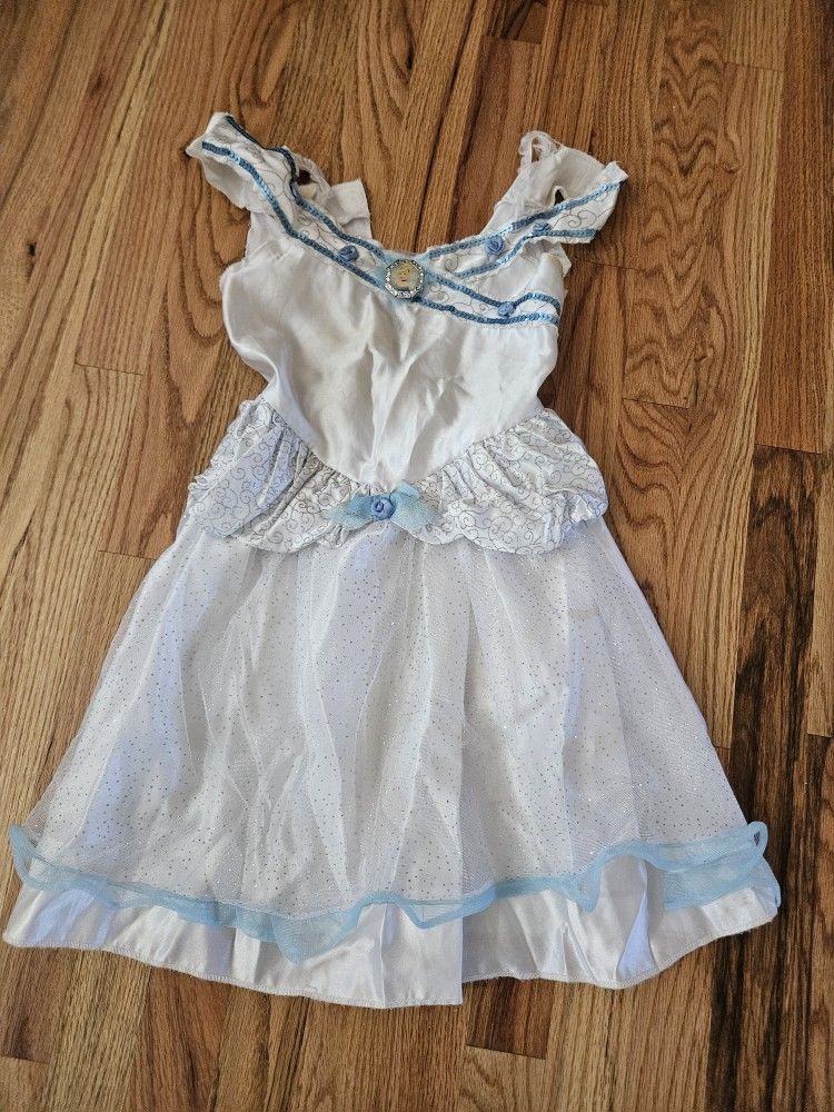 Cinderella costume