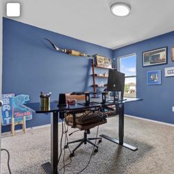 Incredible Black Standing Desk (electric)