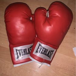 Everlast Boxing Gloves (Used)