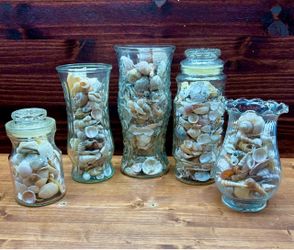 Sea Shells in glass containers/vases