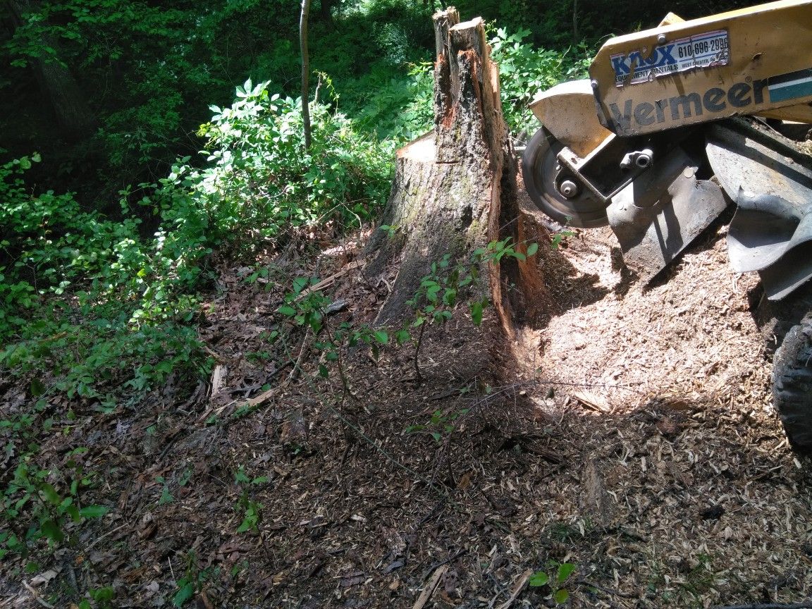 Stump removal