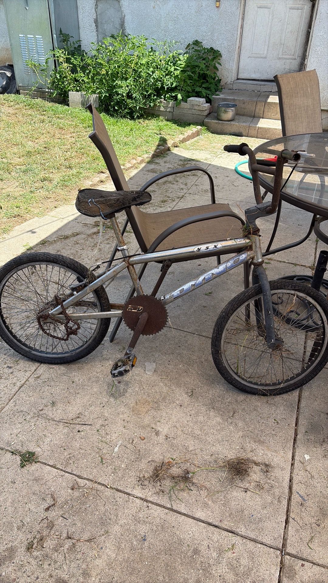 BMX Dino VFR