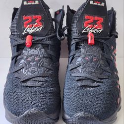 LeBron James Nike Shoes BQ3177-006