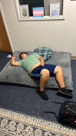 Big Grey Bean Bag