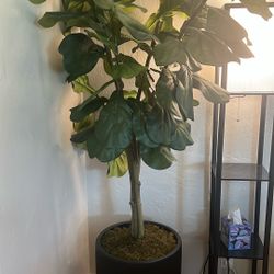Fake Tree 