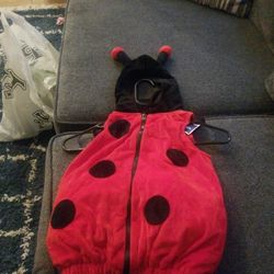 Lady BUG Halloween Costume 24 Mos