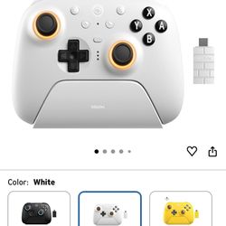 Nintend Switch Or Windows Controller 