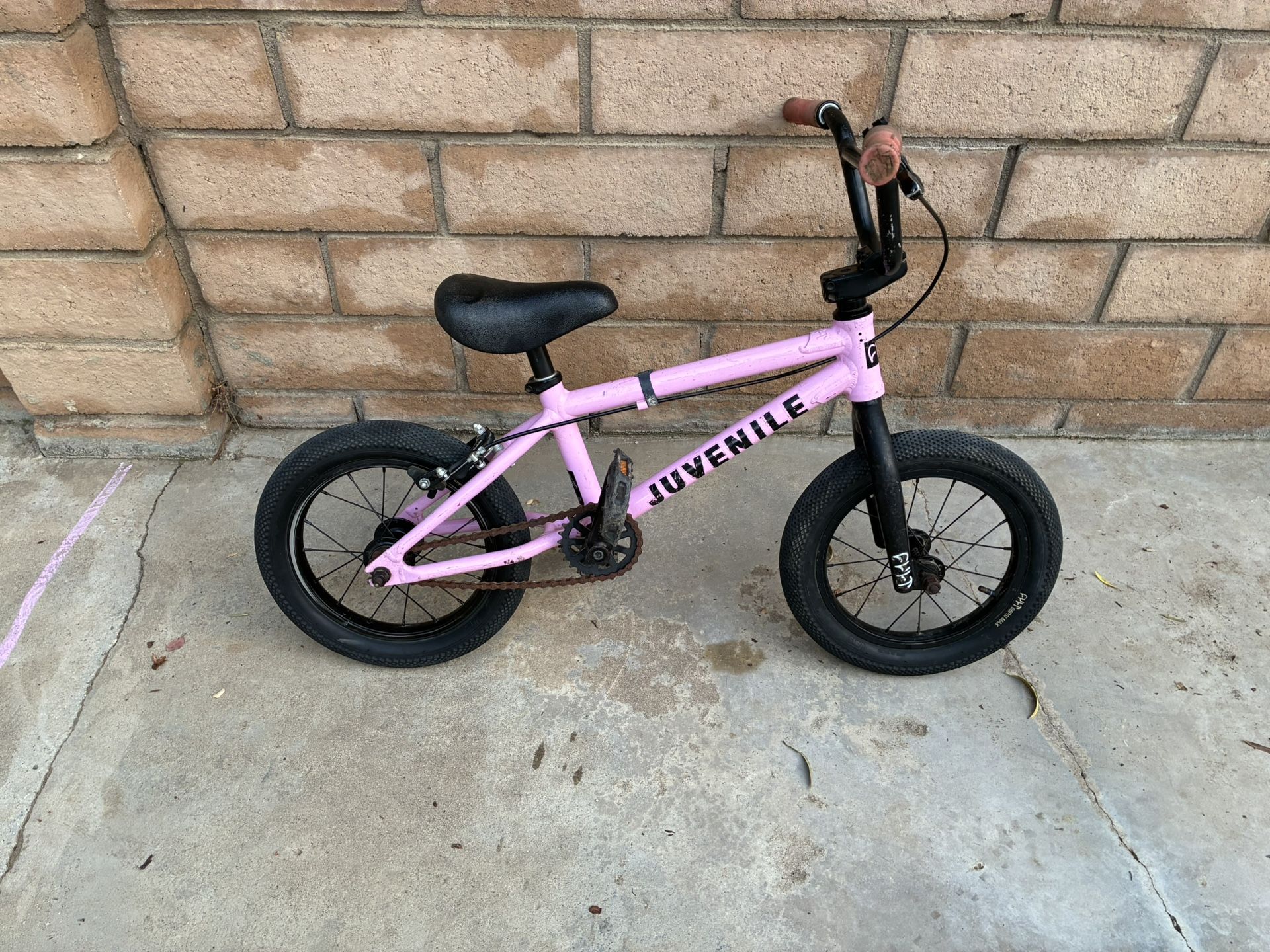 14” Cult