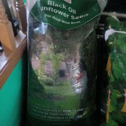 Bird Food