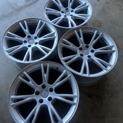 Oem Tesla Model Y Wheels