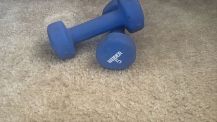 Two 5 pound dumbells