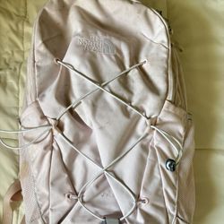 Pink north fae back pack