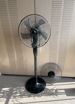 Fan