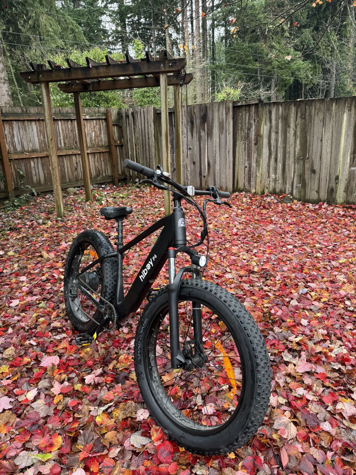 Hi Boy P6 2024 E-bike 