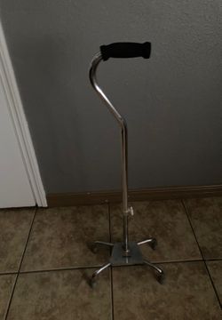 Cane/Bordón