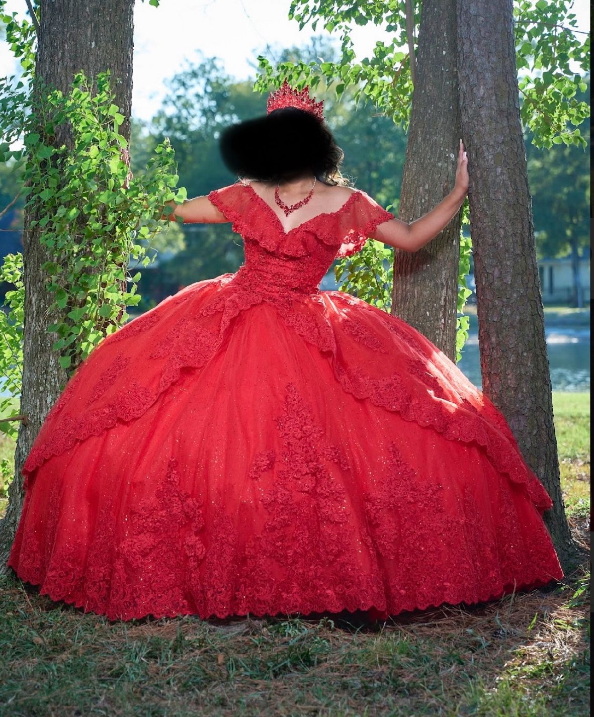 QuinceaƱera Dress