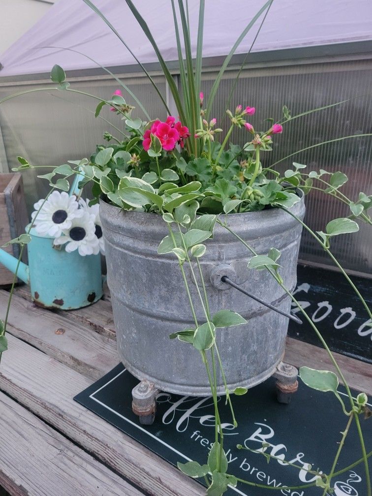 Galvanized Mop Bucket / Planter / Garden  Decor 
