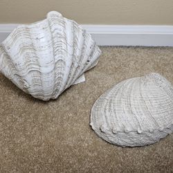 Resin Sea Shells - Set Of 2